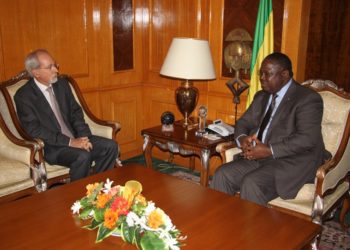 Divorce Etat gabonais et Veolia SEEG : Les milieux d&rsquo;affaires français au Gabon en bouillonnement