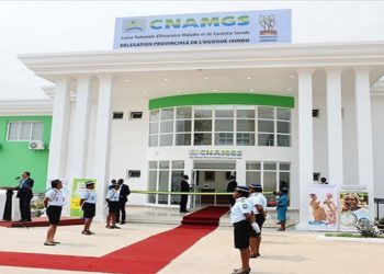 Gabon : L&rsquo;autonomisation des délégations provinciales de la CNAMGS.