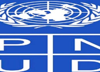 PNUD : Lancement d’un projet pilote de bioénergie dans le Komo-Kango.