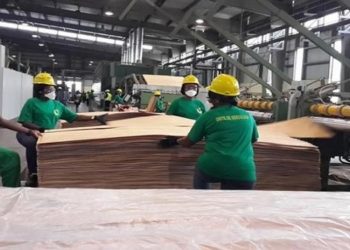 industrie du bois au Gabon.
