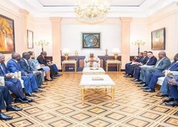 Les maires chez Ali Bongo