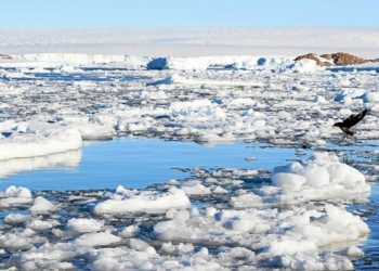 Antarctique