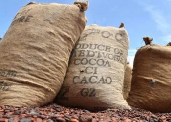 Côte D'Ivoire Cacao