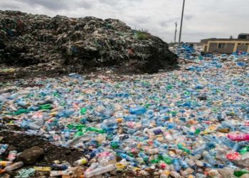 plastique pollution big