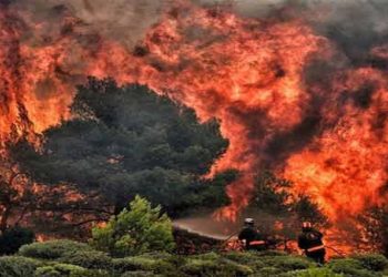Feu en Amazonie