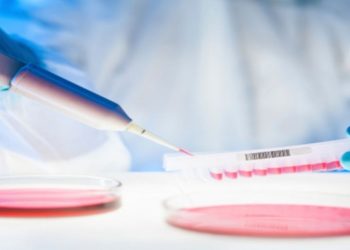 Virus-Ebola-deux-medicaments