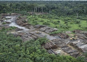 Zone-deforestation