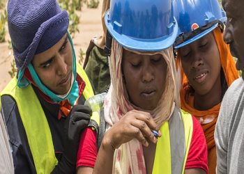 Afrique emploi