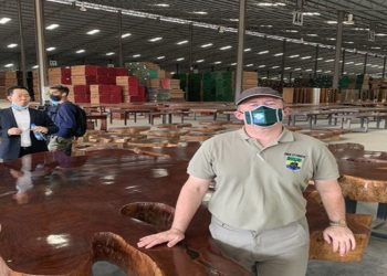 Secteur bois : Une prévision de 70 000 emplois dans 5 ans