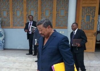 Jean Ping toujours sur la brèche