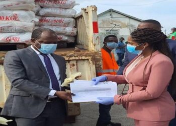 CNLCEI : Au tour de Koho-Nlend et de Mbadinga Madiya