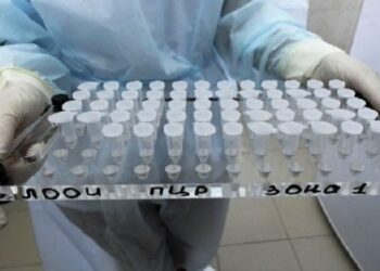 Des tests cliniques d’un vaccin anti-covid-19  en Afrique du Sud