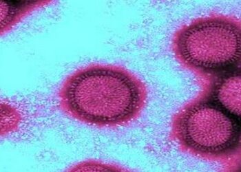 Un nouveau virus de la grippe à potentiel pandémique découvert en Chine