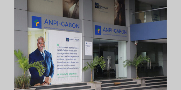 Une grande attractivité pour le guichet numérique de l’ANPI