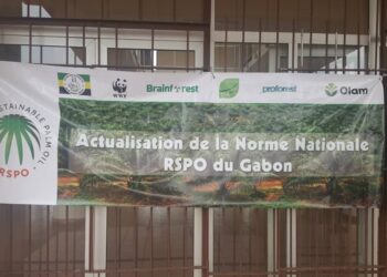 Huile de palme : Désormais le Gabon détient sa référence RSPO