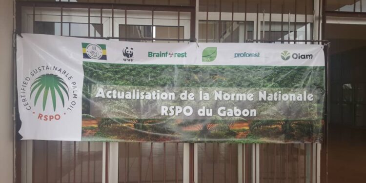 Huile de palme : Désormais le Gabon détient sa référence RSPO