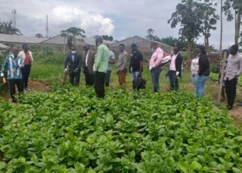 Lancement du projet 1000 entrepreneurs agricoles