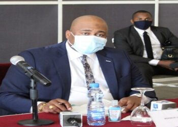 Le Ministre du Tourisme Pascal Houangni Ambouroué devant les Sénateurs ce matin