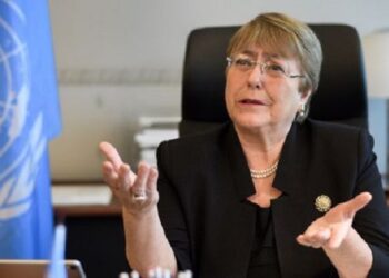 Présidentielle en Guinée: L&rsquo;inquiétude de l’ONU face à des propos  »haineux » de certains politiques