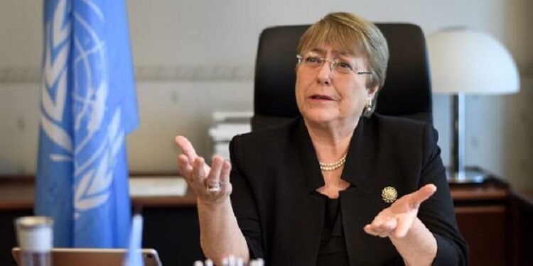 Présidentielle en Guinée: L&rsquo;inquiétude de l’ONU face à des propos  »haineux » de certains politiques