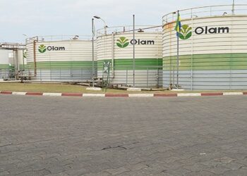 Production de biocarburant, Olam Palm jugé apte