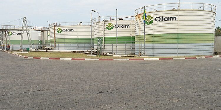 Production de biocarburant, Olam Palm jugé apte