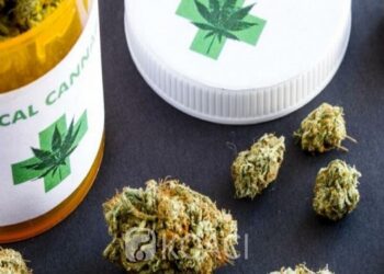 Le Rwanda mise sur le commerce du cannabis thérapeutique
