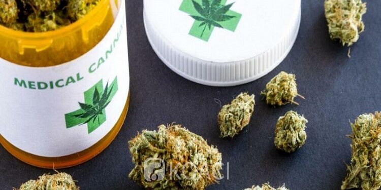Le Rwanda mise sur le commerce du cannabis thérapeutique
