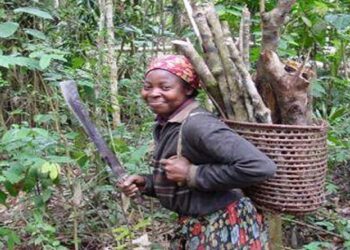La femme rurale, une héroïne célébrée