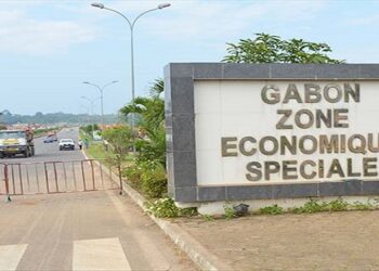 ZES de Nkok, la meilleure en 2020 dans le secteur du bois