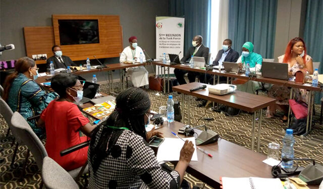 Afrosai / Task force: validation du cadre de suivi et adoption du plan stratégique