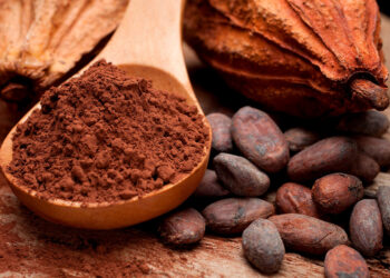 Cacao, huile d’olive, mangues : la certification aide-t-elle vraiment les producteurs africains ? (3/3)