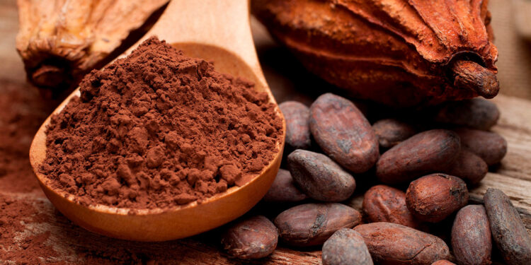 Cacao, huile d’olive, mangues : la certification aide-t-elle vraiment les producteurs africains ? (3/3)