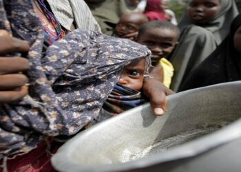 Grave  situation préoccupante en Somalie pour les organisations internationales