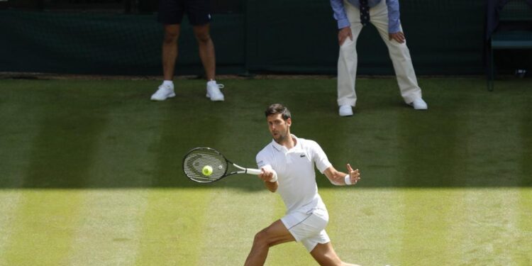 Djokovic : Un chasseur de records plus affamé que jamais