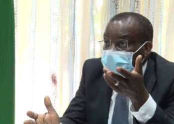 Le Gabon opte pour une transition des énergies renouvelables