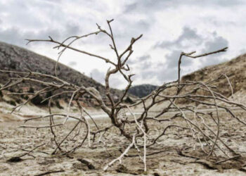 La désertification un fléau environnemental silencieux