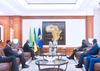 Le Chef  de  l&rsquo;Etat s&rsquo;entretient avec le directeur Afrique de TotalEnergies