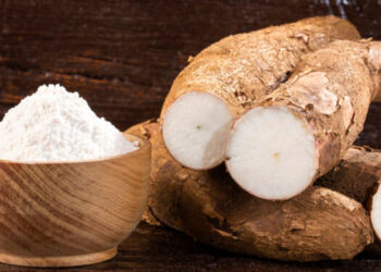 Un défi à même d’être réalisé du pain à base de farine de manioc