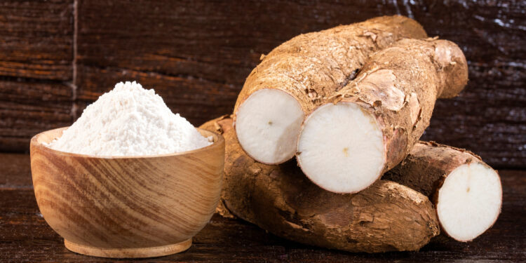 Un défi à même d’être réalisé du pain à base de farine de manioc