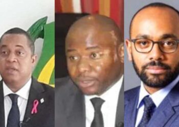 Le nouveau directoire du Parti Démocratique Gabonais