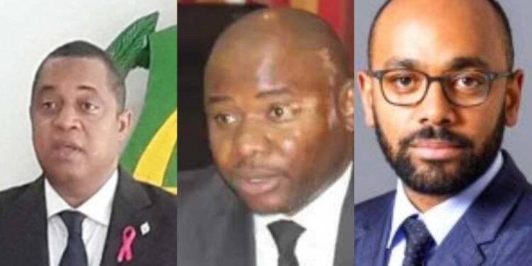 Le nouveau directoire du Parti Démocratique Gabonais