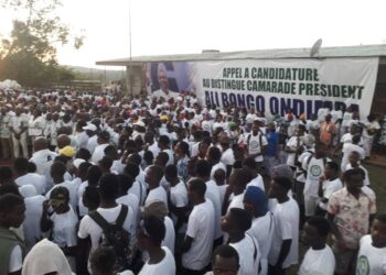 Un appel à candidature lancé par la jeunesse du  »Grand Libreville » en faveur d’Ali Bongo Ondimba￼