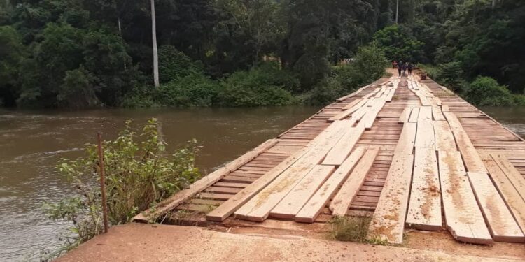 Une armature en fer pour 50 ponts encore en bois￼