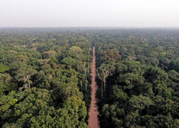 Le Gabon honoré par l’ONU pour abriter la semaine africaine du climat