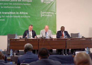 Vincent de Paul Massassa, s’entretient avec une délégation d’experts de l’institution Britannique Chatam House