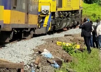 Train Voyageurs de nouveau à l’arrêt