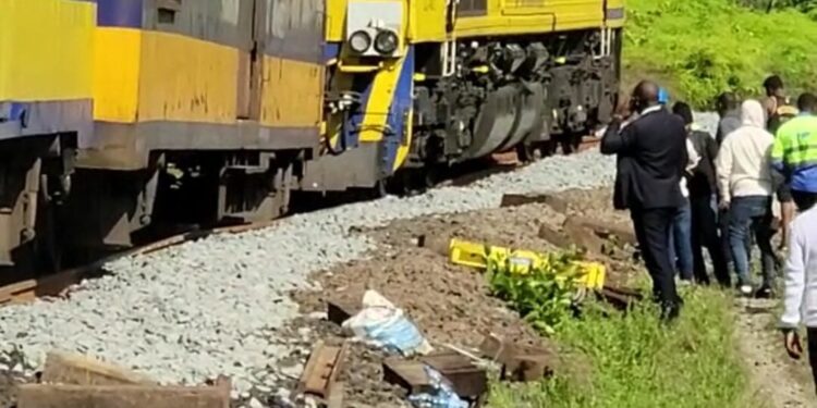 Train Voyageurs de nouveau à l’arrêt