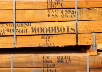 La société Woodbois recoit 50.000 hectares pour le reboisement