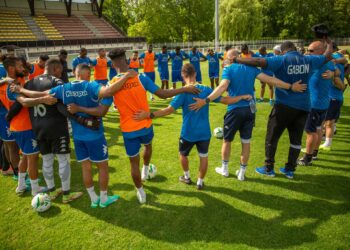 Gabon-RDC le Choc des fauves
